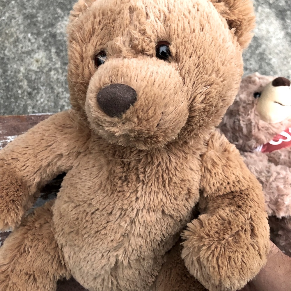 NWT Aeropostale Teddy Bear